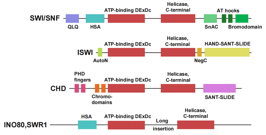 1757644851240309.png 图片3.png