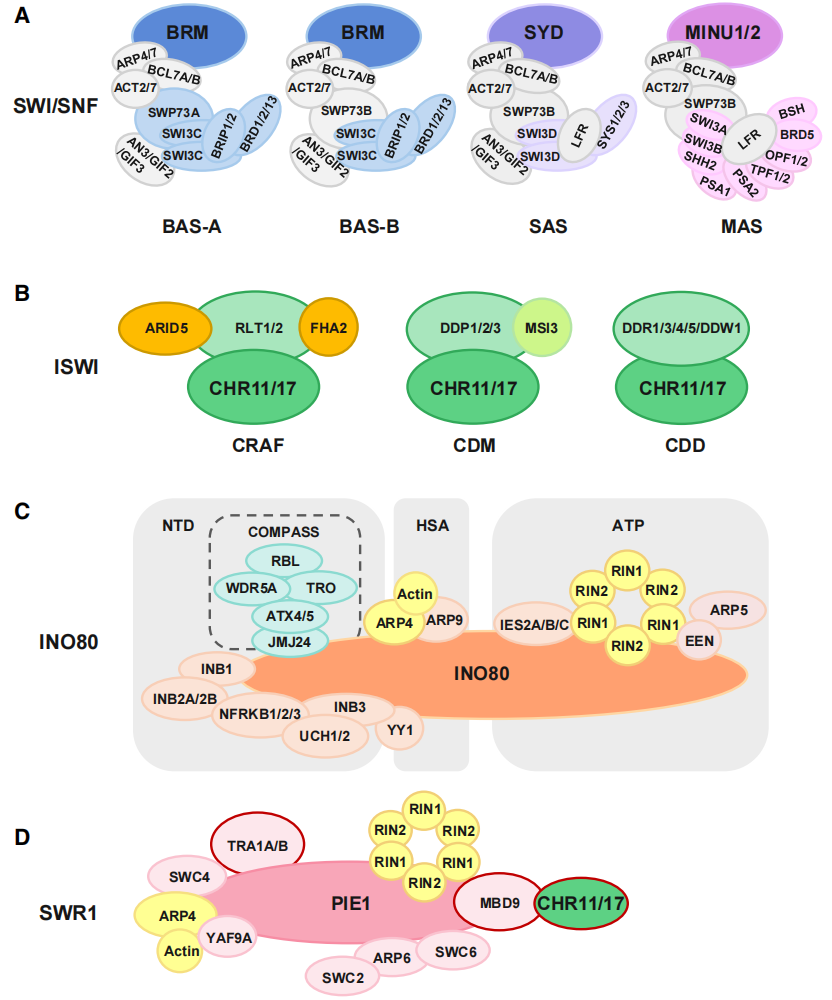 1757644905428529.png 图片4.png