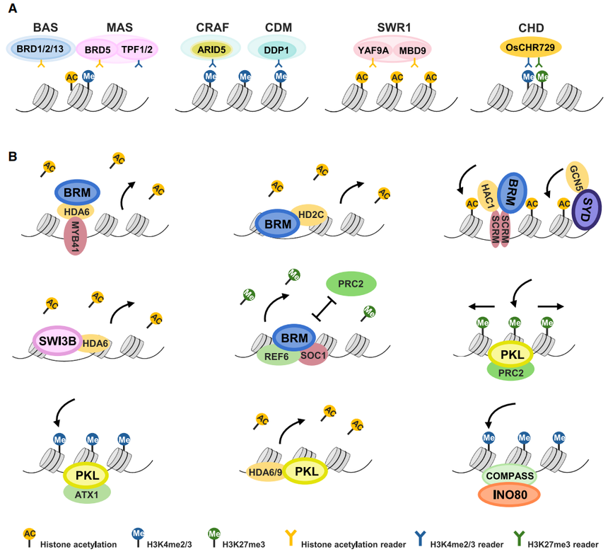 1757644965143226.png 图片5.png