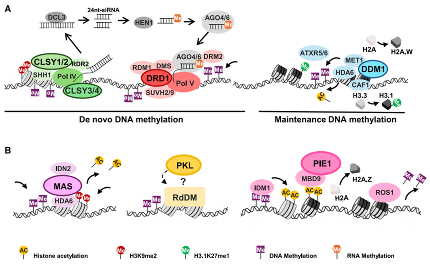 1757645020725030.png 图片6.png