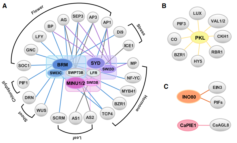 1757645050251007.png 图片7.png