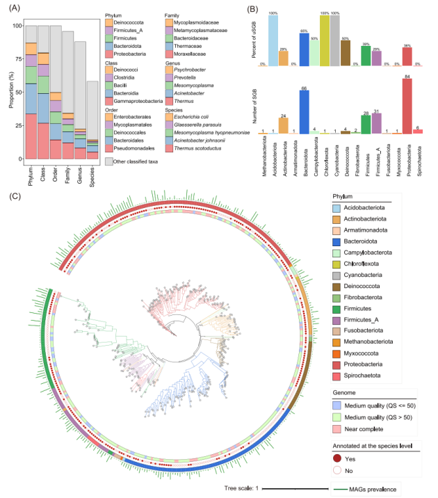 1757645735922802.png 3.png