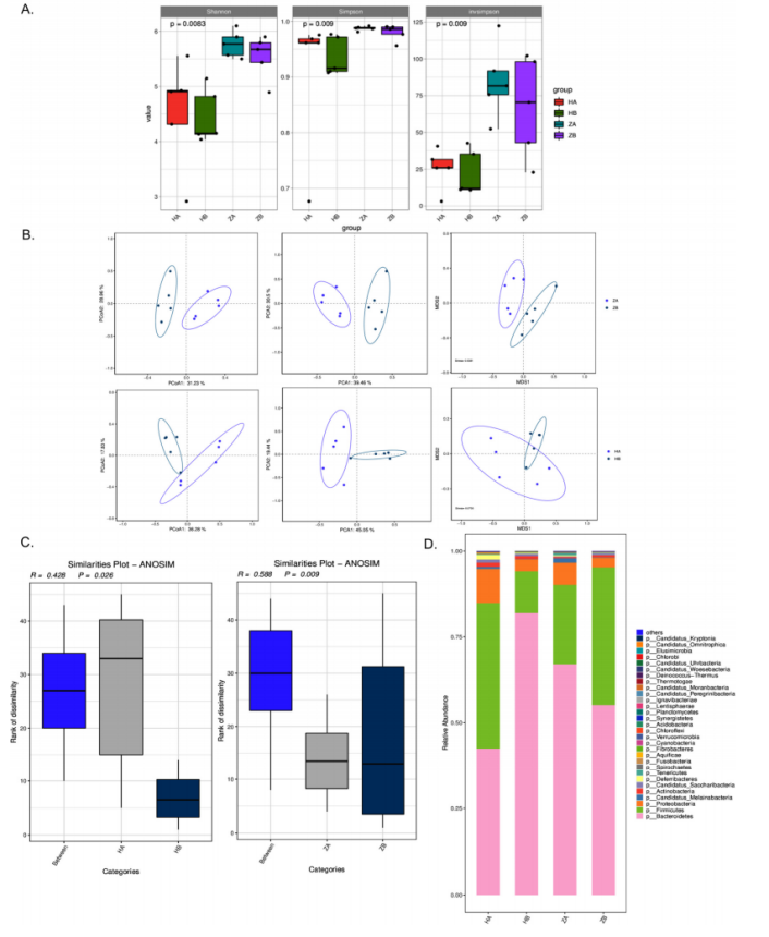 1757645766998286.png 5.png