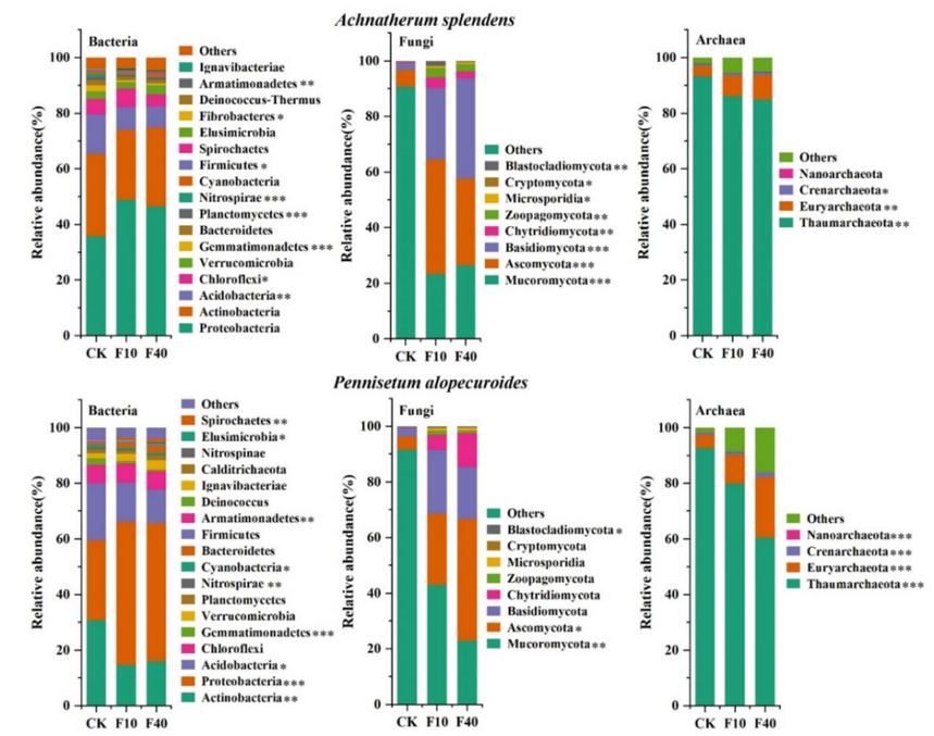 1757646081882813.png 9.png