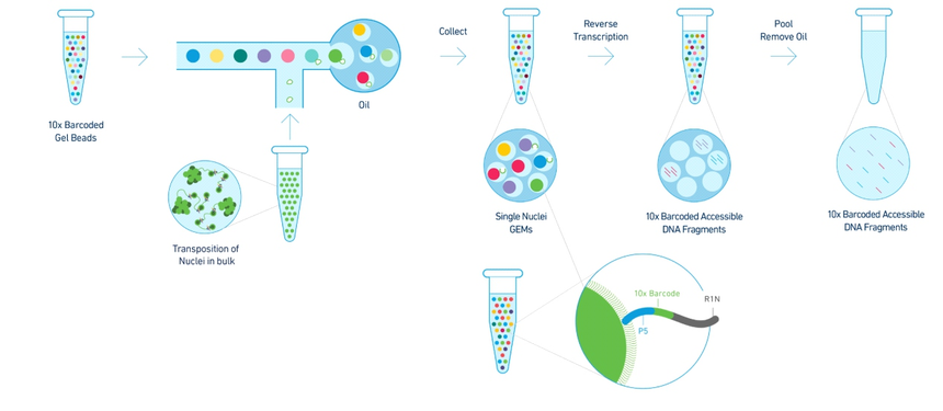 1758103388608986.png 图片5.png