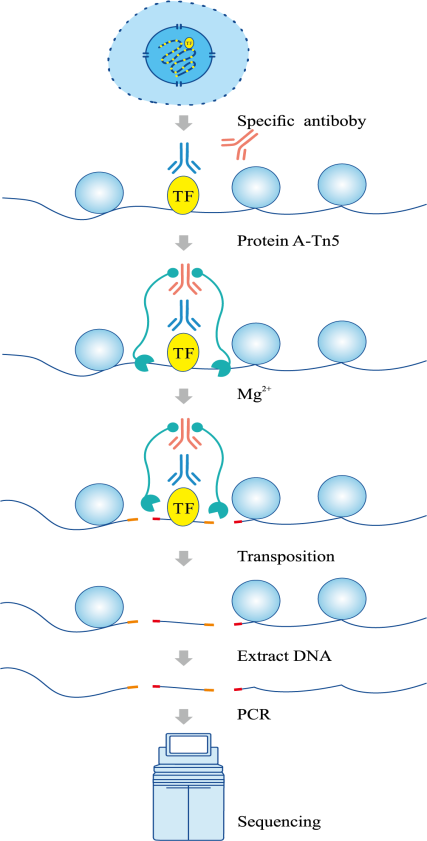 1758103407119317.png 图片6.png