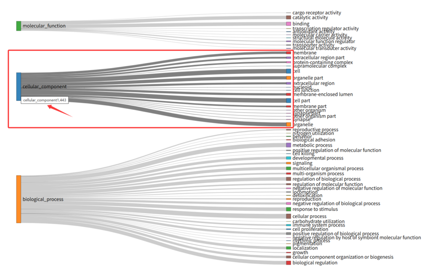 1758103750199567.png 下载9.png