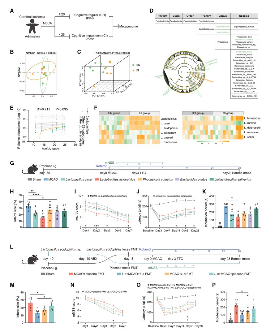 1759047206470399.jpg 01.jpg