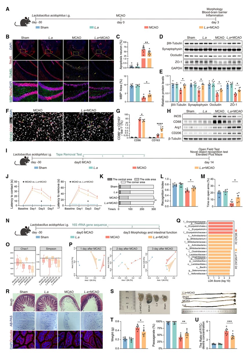 1759047239852284.jpg 02.jpg