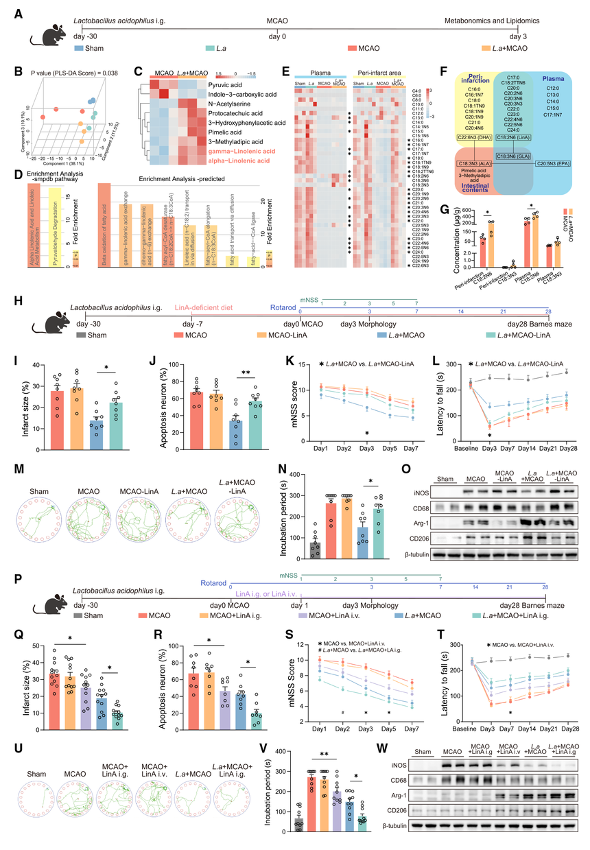 1759047265471820.png 03.png