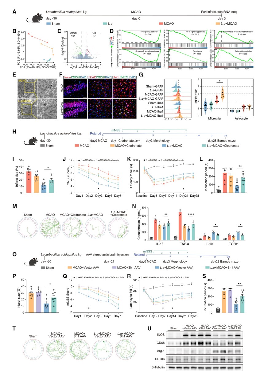 1759047315756844.jpg 04.jpg