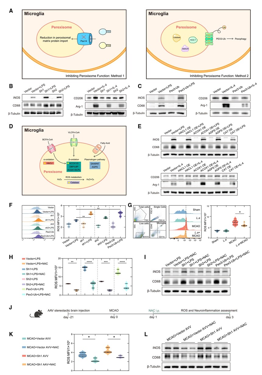 1759047331898041.jpg 05.jpg