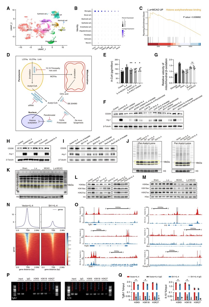1759047345508570.jpg 06.jpg