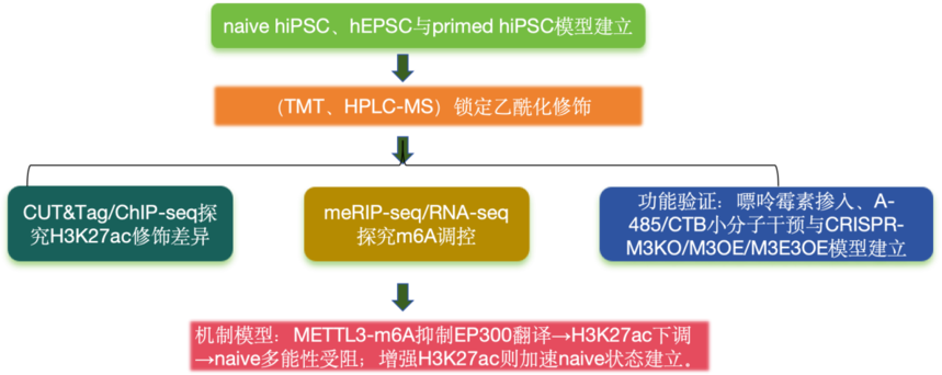 1759047850207702.png 图片2.png