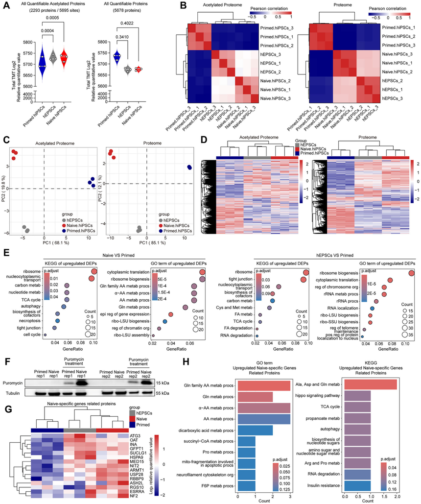 1759047876223194.png 图片3.png