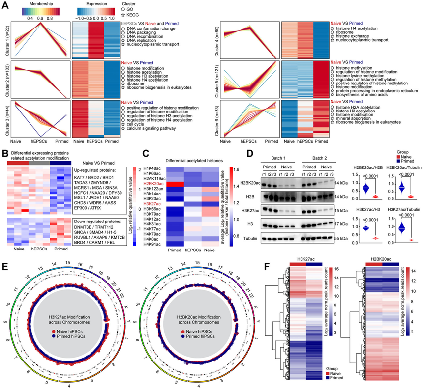 1759047888700331.png 图片4.png