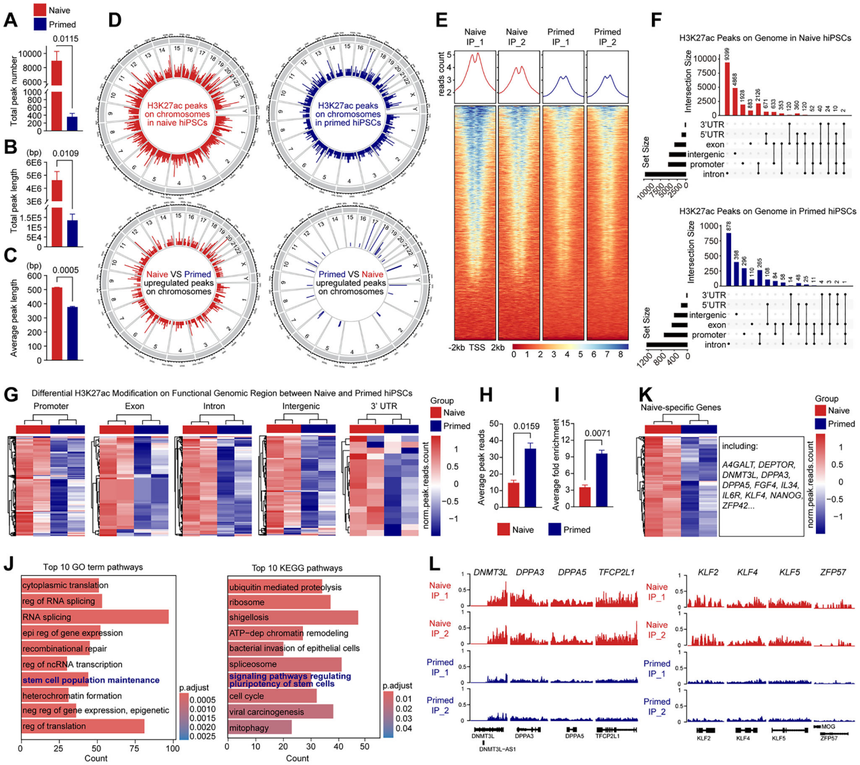 1759047899938948.png 图片5.png