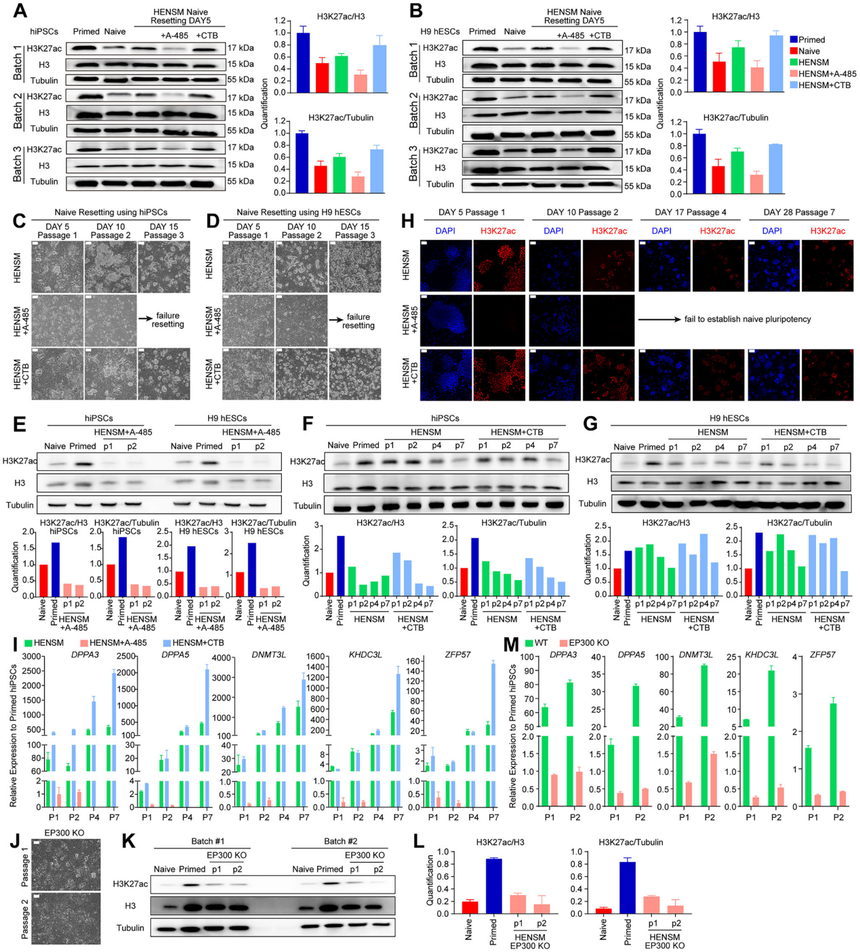 1759047910663404.png 图片6.png