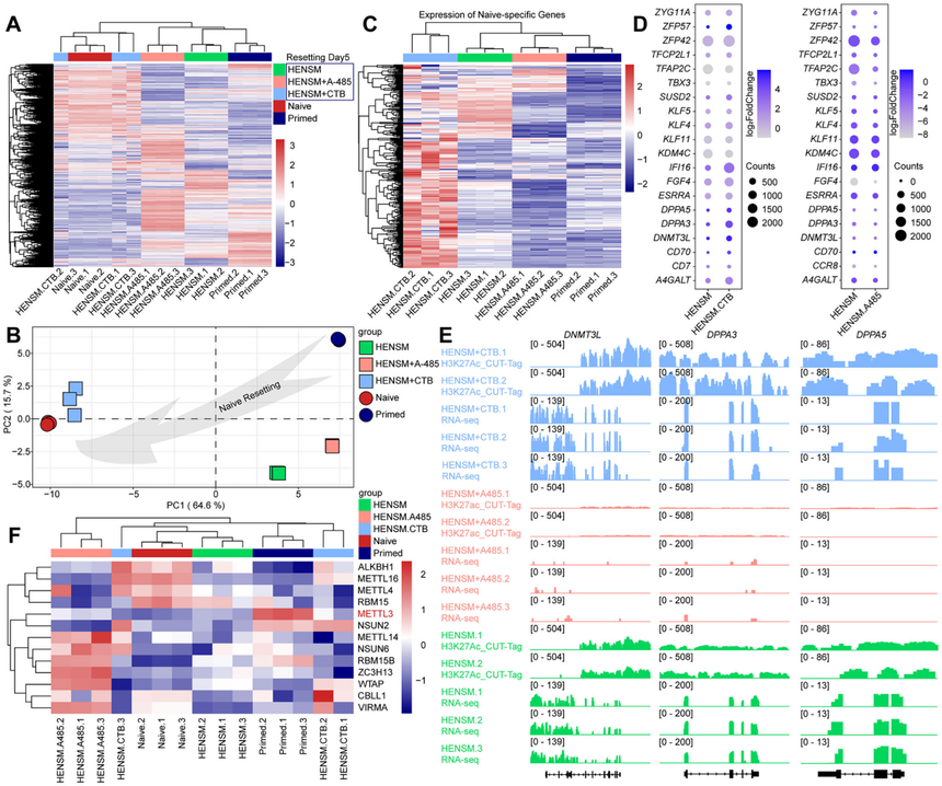 1759047923513043.png 图片7.png