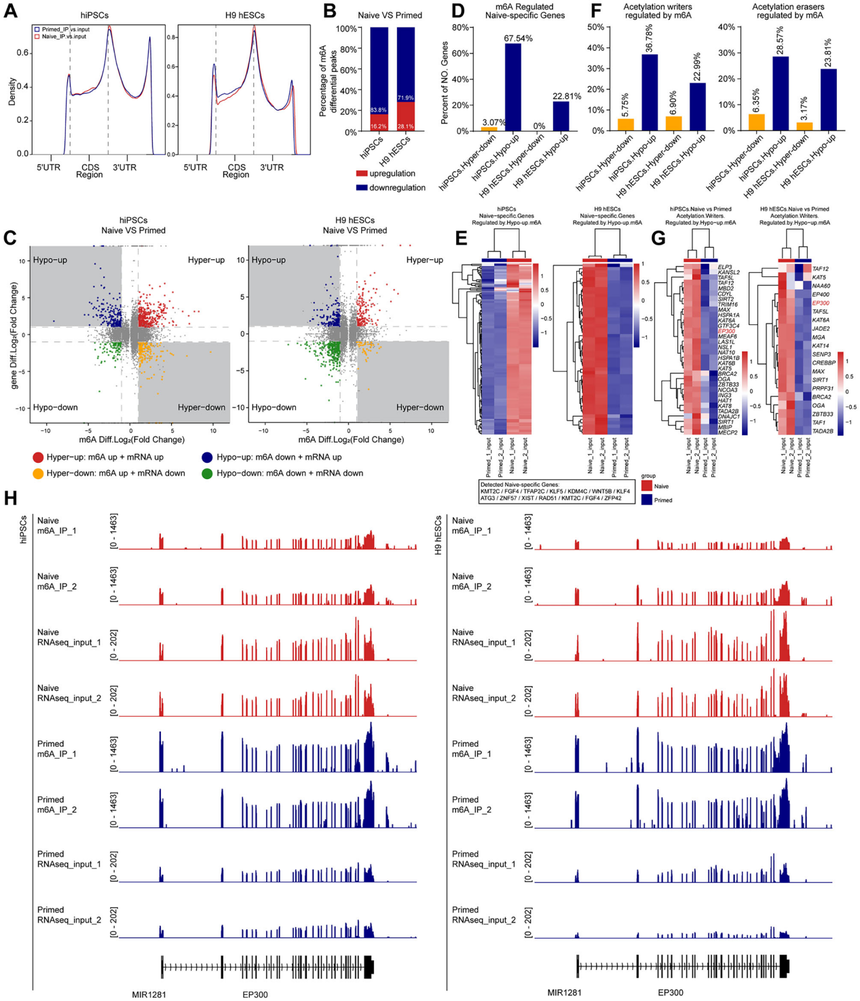 1759047936271655.png 图片8.png