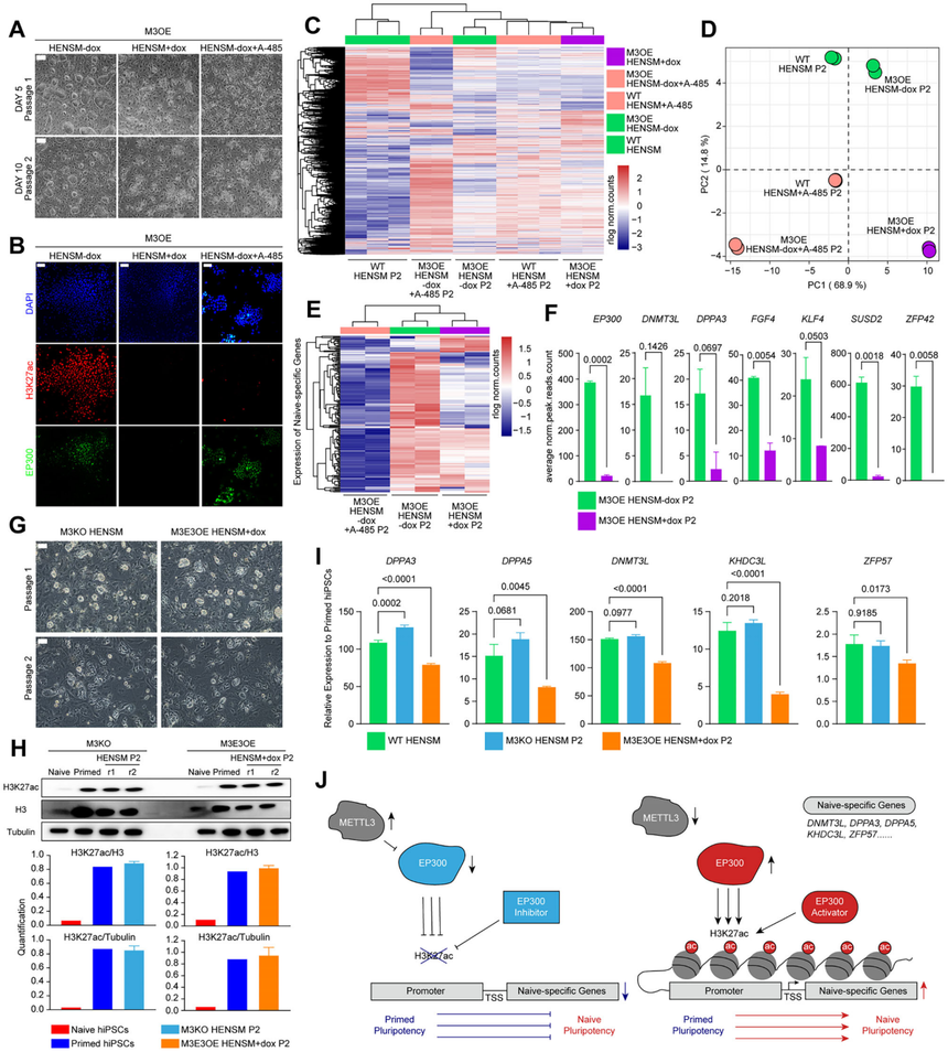1759047950388675.png 图片9.png
