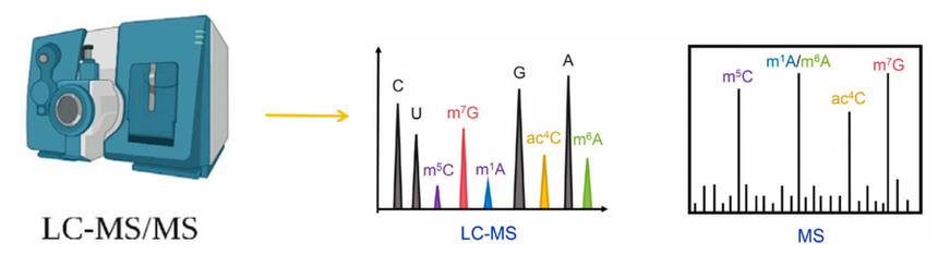 1759048294506947.png 图片3.png