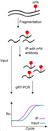 1759048462444297.png 微信图片_2025-09-28_163401_704.png