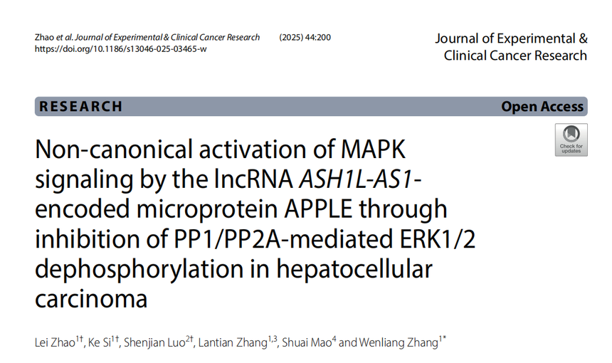 1760342497350540.png 图片1.png