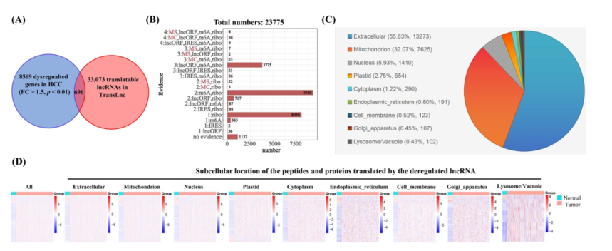 1760342523461882.png 图片3.png