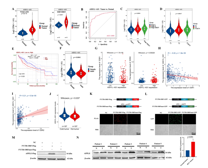 1760342535990926.png 图片4.png