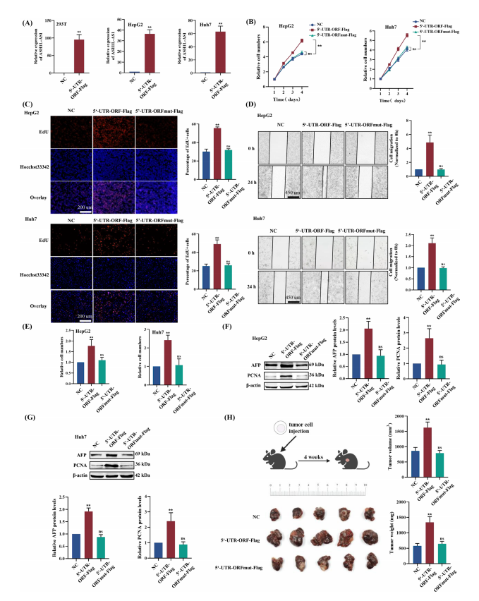 1760342553282181.png 图片5.png