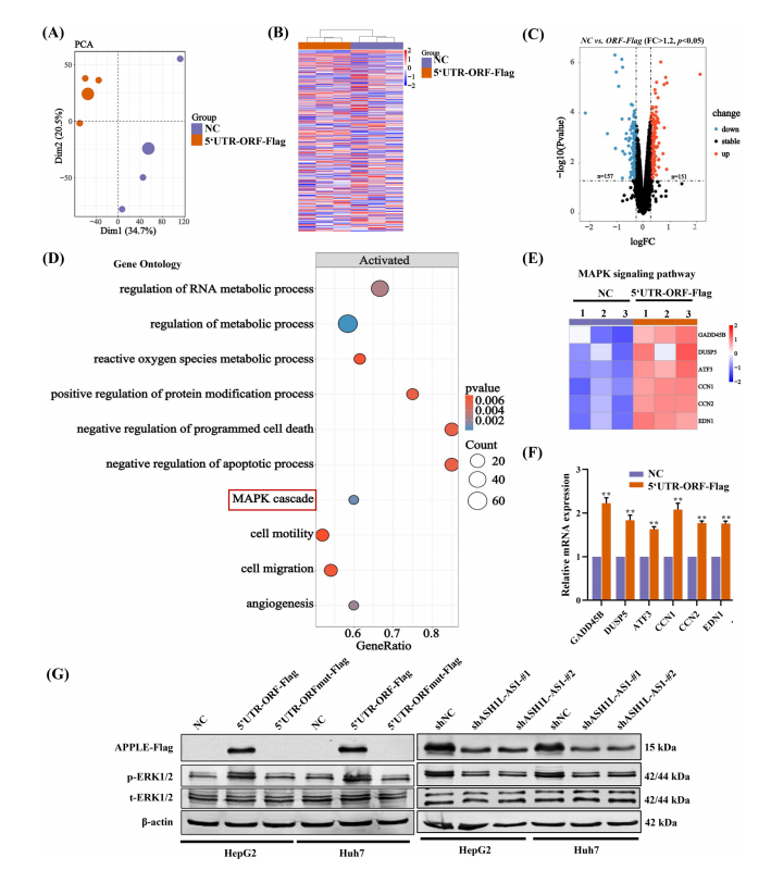 1760342586130067.png 图片7.png