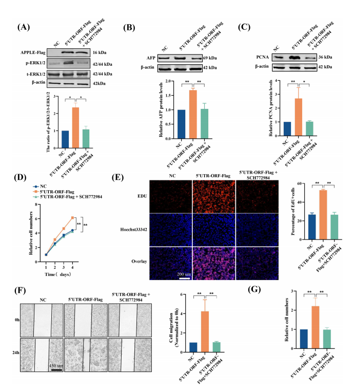 1760342619311623.png 图片8.png