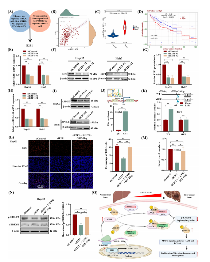 1760342647980077.png 图片10.png