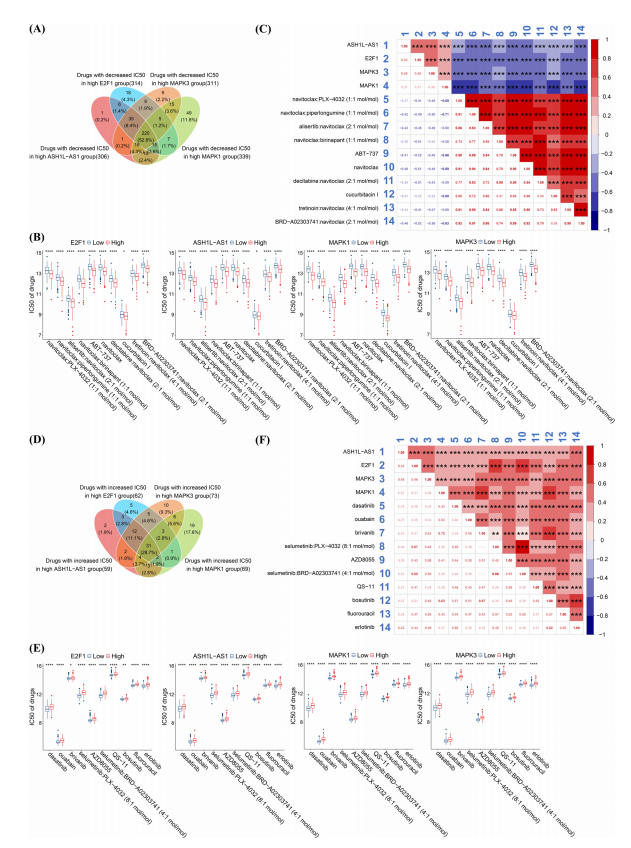 1760342665346612.png 图片11.png