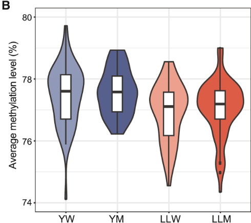 1760342978504968.png 企业微信截图_17590298306170.png