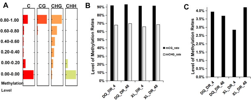 1760343147305455.png 图片1.png