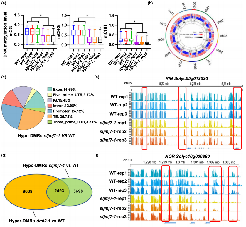 1760343188551019.png 图片2.png