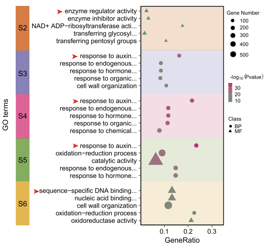 1760343216108457.png 图片3.png