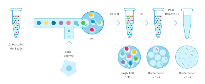 1760343409946152.png 图片1.png