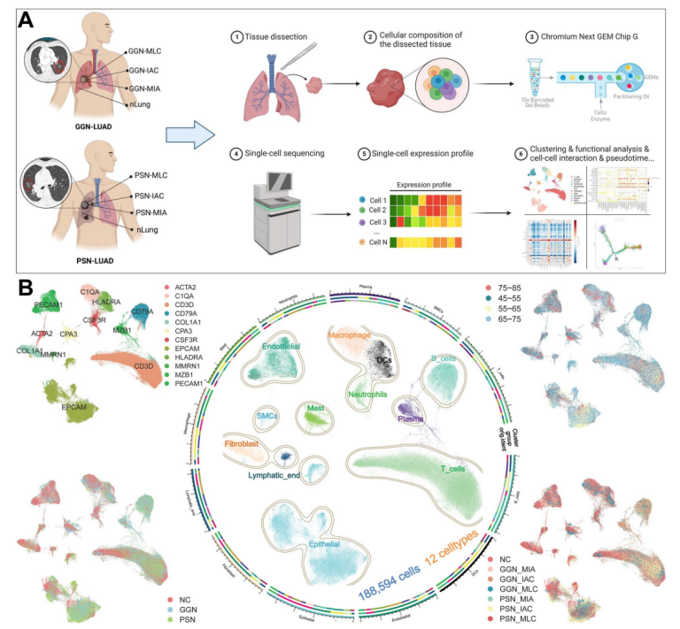 1760343448113190.png 图片2.png