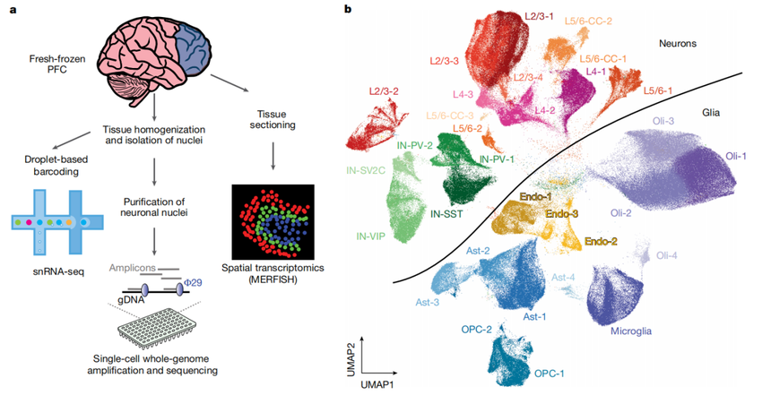 1760343466327445.png 图片3.png