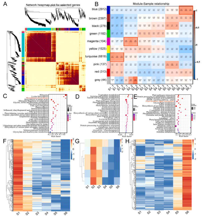 1760604645505400.png 图片2.png