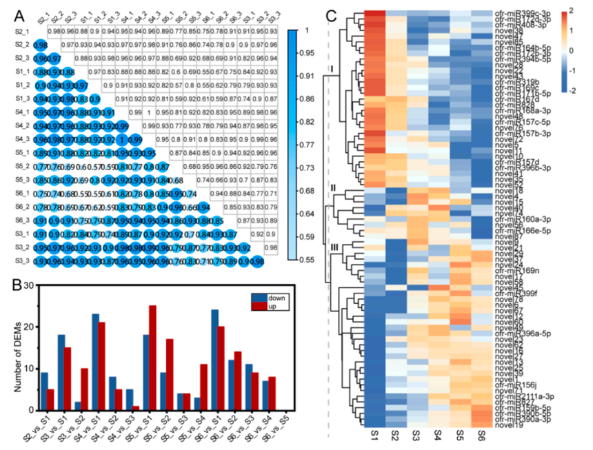 1760604670695215.png 图片4.png