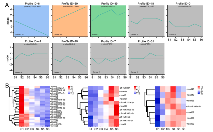 1760604680544246.png 图片5.png