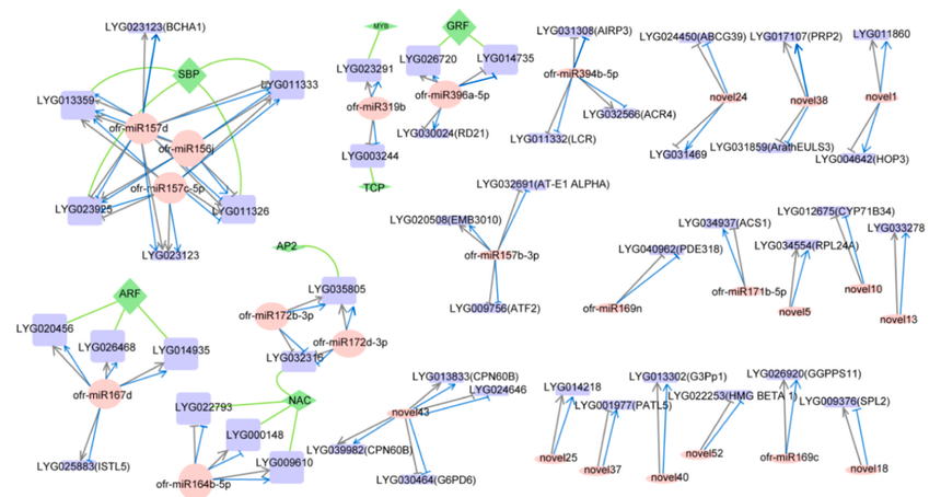 1760604707722361.png 图片7.png