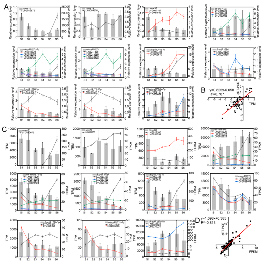 1760604720887198.png 图片8.png