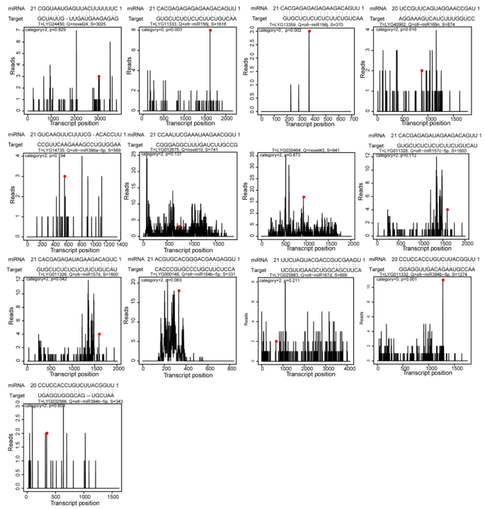 1760604732614839.png 图片9.png