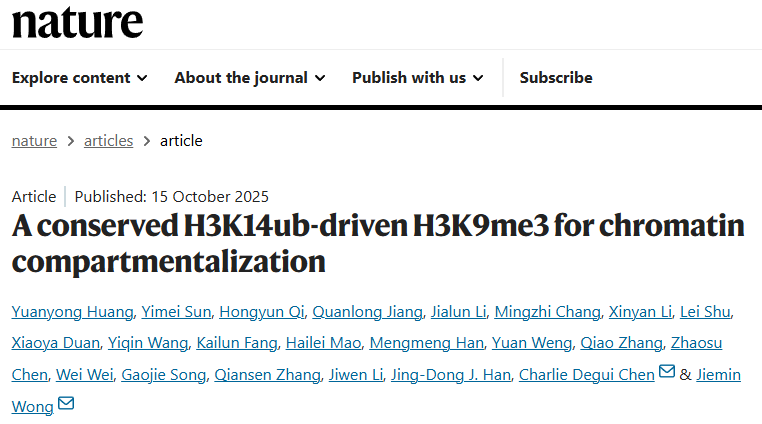 1761190240254029.png 图片1.png