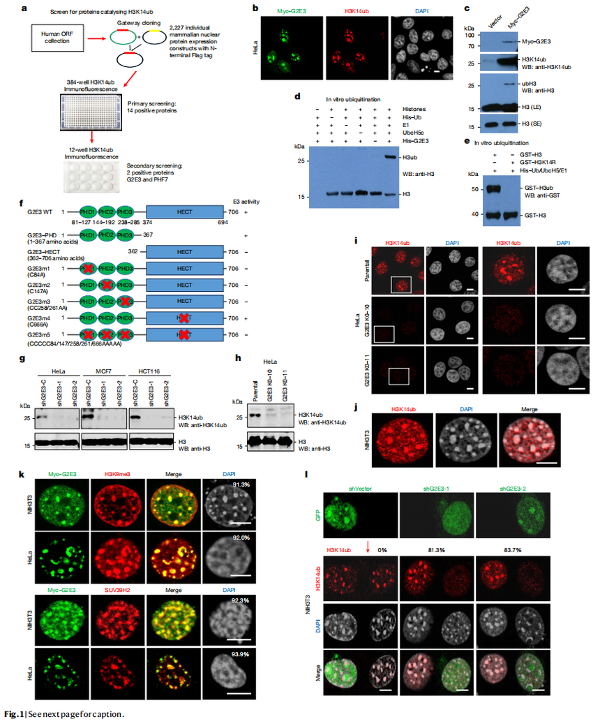 1761190255233567.png 图片2.png